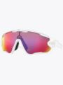 Oakley Jawbreaker Lilla